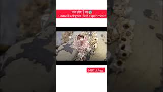 क्या होता है#Connell's field experiment???#shorts#@msk biology