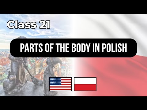Parts of the body in POLISH Class 21 👉 Lessons for English speakers