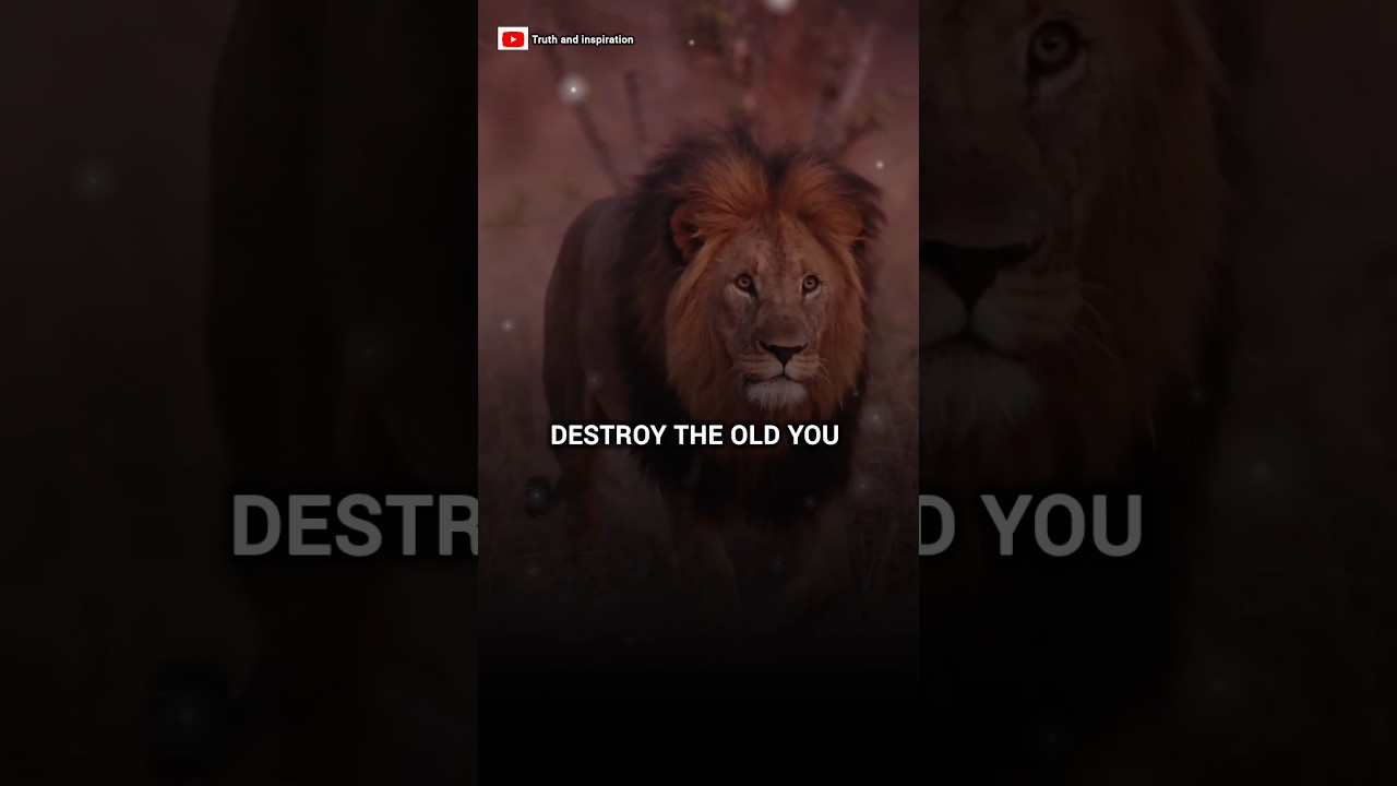 Destroy the old you~🔥😈| Sigma rule 😎| Motivational quotes #shorts #viral #quotes
