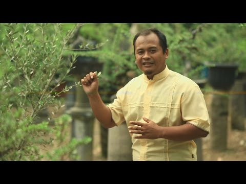 BASMALAH 27 JANUARI 2016 - Makanan Dalam Al Quran