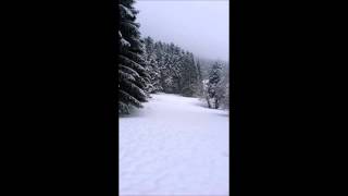 gerard manset pavillion sous la neige