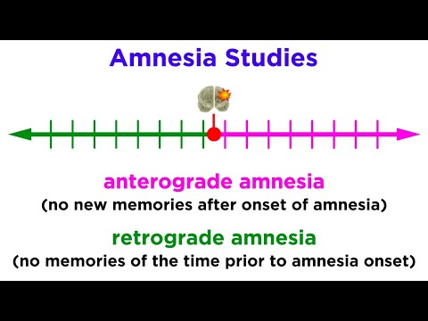Information Storage and the Brain: Learning and Memory