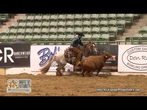 Its Time To Smokum ridden by Mark A. Sigler  - 2016 NRCHA SBF (Cow Work - Open Prelims)