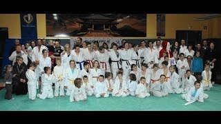 preview picture of video 'Spectacle l'arbre de noël du Judo'