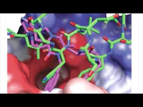 10S6P4 Christian Schafmeister   2010 UNTT 3rd Annual Conference Session 6 Presentation 4