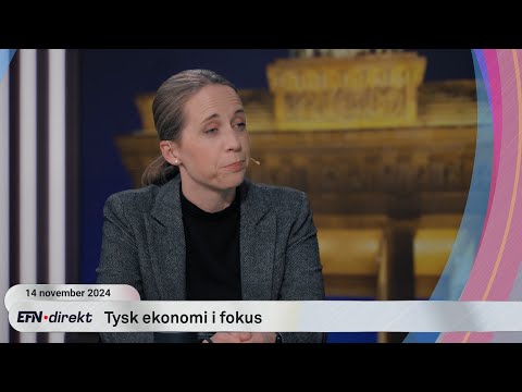 Euroekonom: Därför krisar den tyska ekonomin