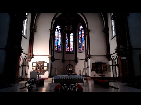 Presveto Trojstvo (Vorabendmesse) 06.06.2020. - St. Sebastian, Berlin