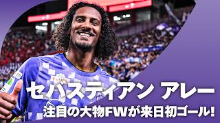 【UEFAチャンピオンズリーグで12得点】セバスティアン アレー（サンフレッチェ広島）｜欧州の第一線で実績を残したストライカーがＪ初ゴール！