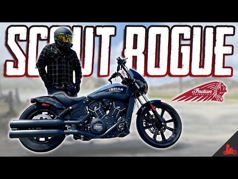 Indian Scout Rogue TEST RIDE