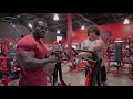 Hammer strength rows, standing