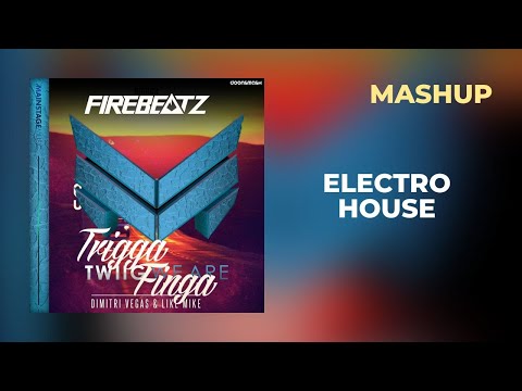 DV&LM vs. Twiig & Firebeatz - We Are vs. Stay A While vs. Trigga Finga (Doonsmash Mashup)