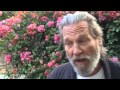 Jeff Bridges On Dying To Know Ram Dass And Timothy Leary
