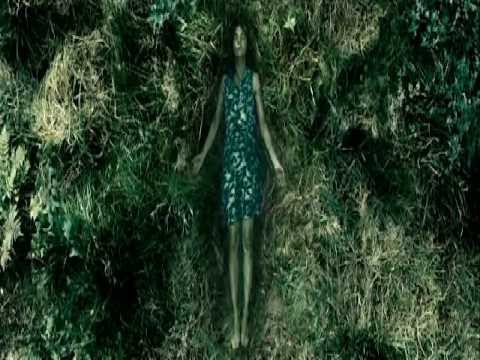 Diamanda Galas- See That My Grave Is Kept Clean