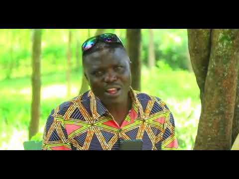 mosaiga bokaboka history part B