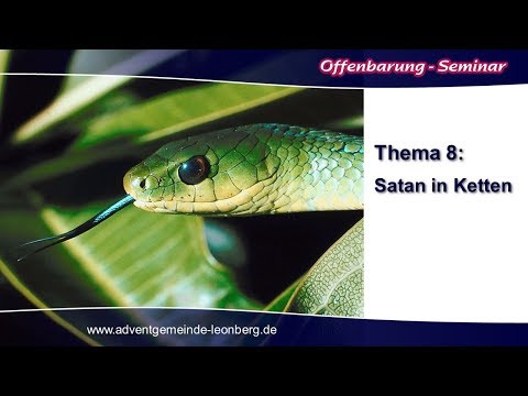 Offenbarung-Seminar - 08. Satan in Ketten - Olaf Schröer