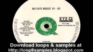 Zyon - No Fate (No Fate Mix '93)