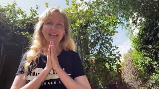 Animal Reiki Meditation: Connecting with Trees