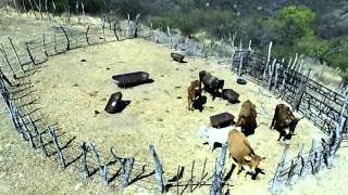 preview picture of video 'Rancho Las Aguilas desde el Cielo'