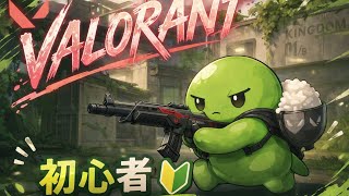 valorant 成長みまもりカメラ