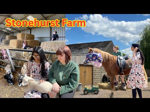 STONEHURST FARM UK | Leicester’s Farm and Animals 🐐🐴