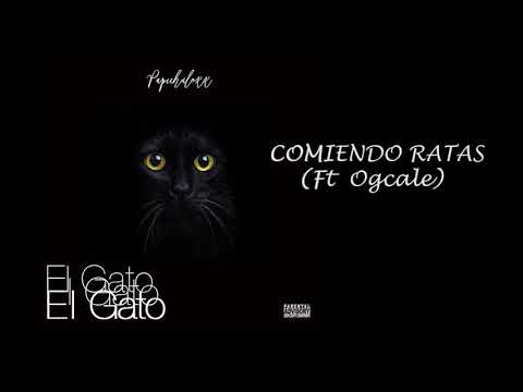 4. Papichuloxx - Comiendo ratas Ft Ogcale (ELGATO)