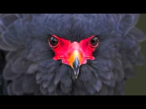 Matt Myer - Kickin (Lu Cris - Remix)