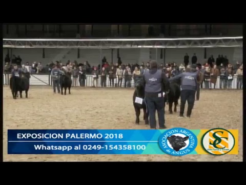 Emisión en directo de entre surcos y corrales