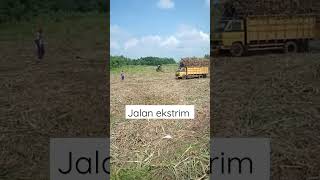 Download lagu detik detik truk pengangkut tebu terguling mp3 Download lagu detik detik truk pengangkut tebu terguling mp3