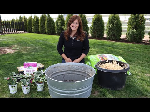 YouTube video about: When to plant strawberries in idaho?