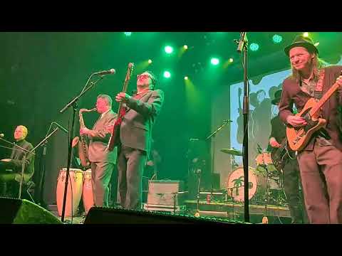 Knucklebone Oscar - Boogie Chillen, live 2023