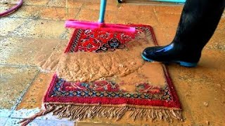 Cleaning a dirty and muddy carpet carpet satisfying rug cleaning | asmr