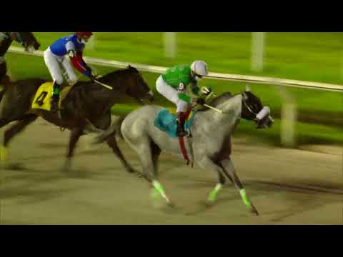 220128 c08 GRAN BLUE (BRZ)