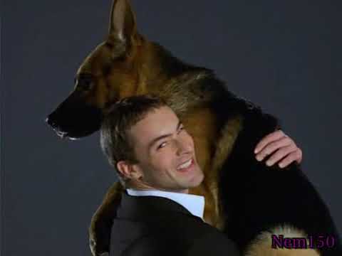 Rex - Season 4 EP. 1 - Lebendig begraben