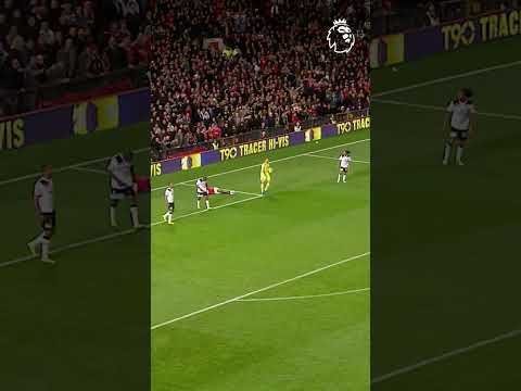 The most BIZARRE Premier League goal? #shorts