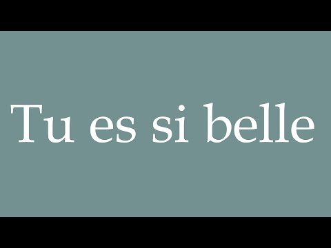 How to Pronounce ''Tu es si belle'' (You are so beautiful) Correctly in French
