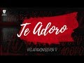 David Quinlan Te Adoro DVD Apaixonado Por Ti Vídeo Oficial