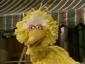 Sesame Street Scenes From 1449