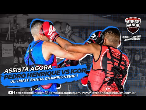 Pedro vs Igor - Ultimate Sanda Championship 1