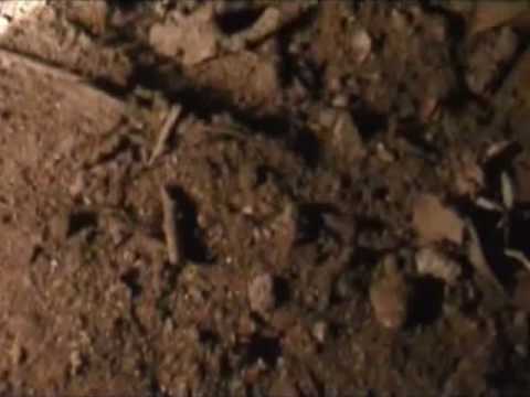 La vera storia di Gladio parte I°