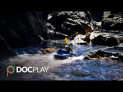 Franklin | Official Trailer | DocPlay