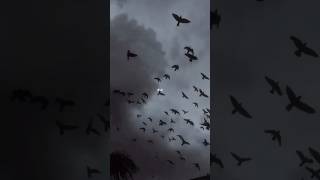 Download lagu Doin' Time - Lana Del Rey | lyrics | aesthetic | whatsapp Status | English songs | slowed | speed up mp3