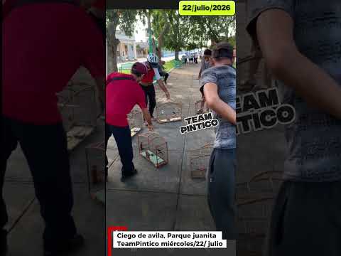 Tope amistoso 22/julio/2026 Parque Juanita, ciego de avila, TeamPintico 
