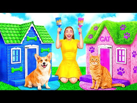 We Built a House For Pets