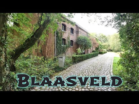 Blaasveld Revealed: Nature, Art & History Combined