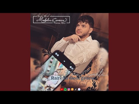 Dragostea fara Cuvinte Mierea Romaniei (feat. Razvan georgescu)