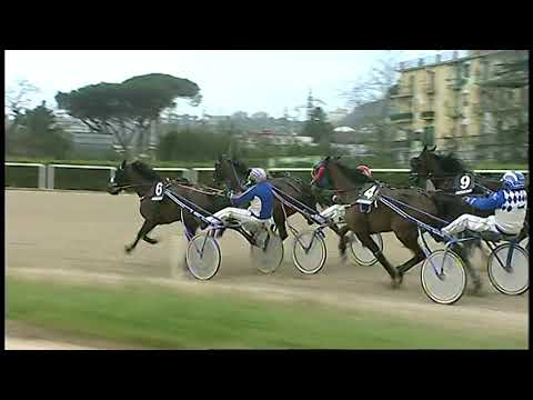 Trotto 29/01/2021 - 3ª corsa