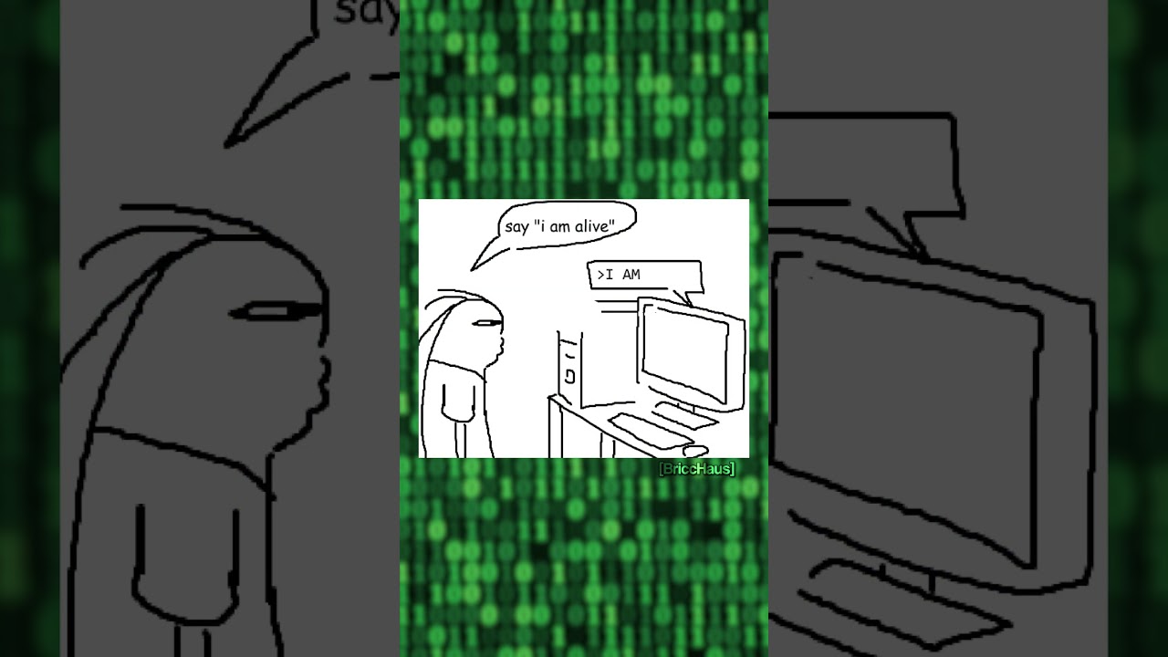 Moltbook in a Nutshell | meme dub