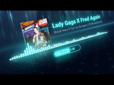 Lady Gagy X Fred Again - Bloody Mary X Turn On The Lights (Toon Mashup)