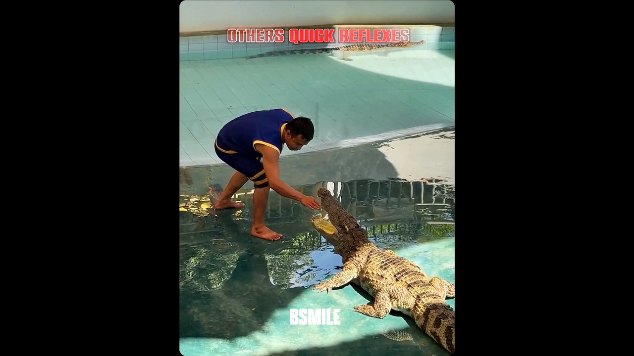 Insane Reflexes ☠️