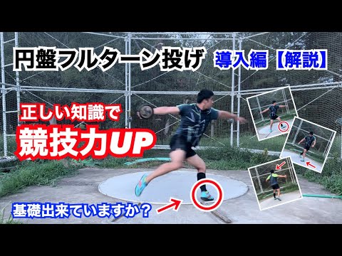 シンフィソドン ディスカス